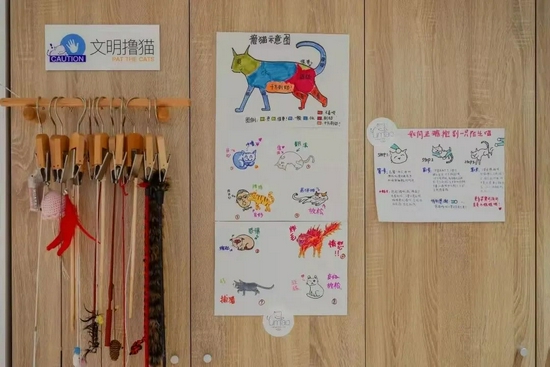 Umiao店员手绘的撸猫示意图