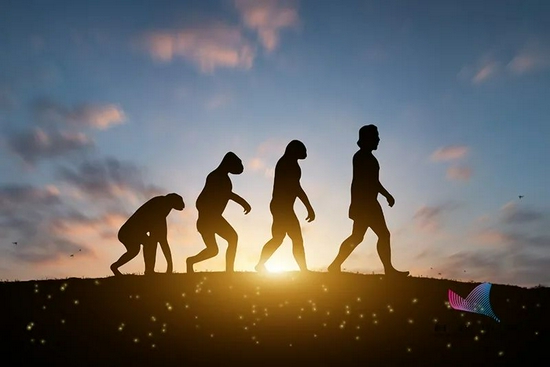 进化越快，灭绝也越快？|进化