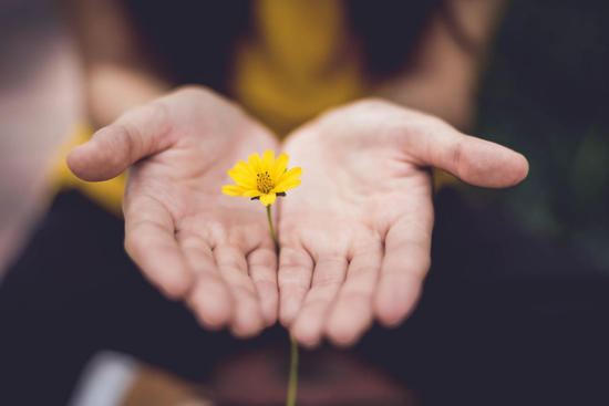 图源：unsplash