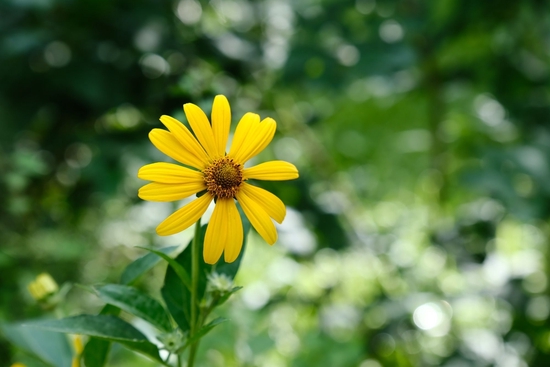 ʿ
ȡ 17-70mm F/2.8 Di III-A VC RXD
