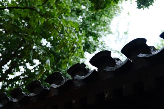 ʿ
ȡ 17-70mm F/2.8 Di III-A VC RXD