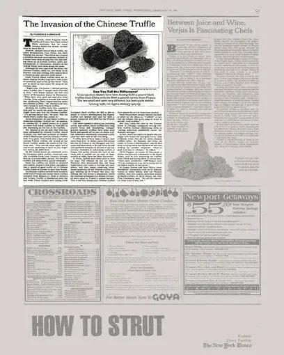 纽约时报1995年的报道