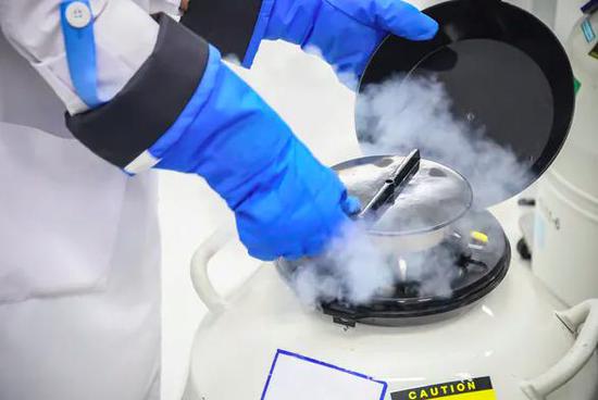 目前,利用液氮快速冷冻是冻卵较为常用的技术。(图源:shutterstock)