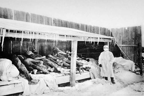 存放在仓库中的鼠疫患者的尸体 拍摄者：不详 拍摄时间：1910年~1911年 来源：中国摄影史图片库