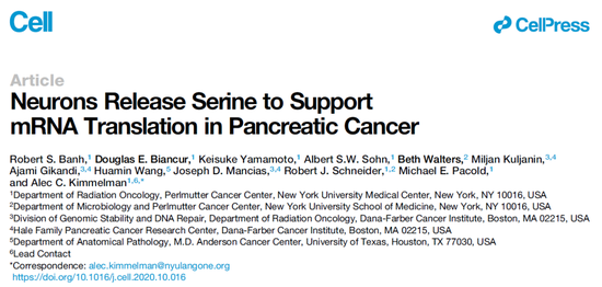癌症之王“饿肚子”的时候，送来“外卖”的居然是神经细胞？胰腺癌