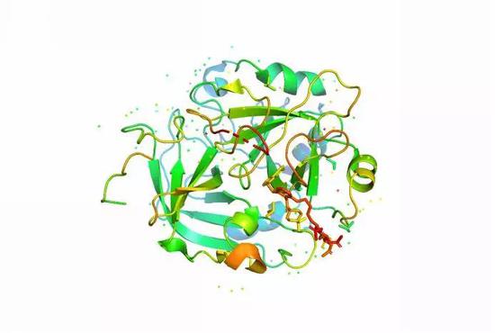 图：蛋白质分子的3D模型（图片来源：视觉中国）