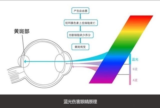 𱻻ƭǮ ʾò