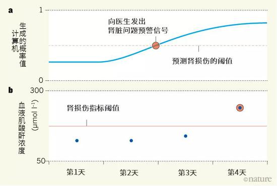 图一：预测肾功能障碍的结果。图a表示Tomašev 团队提出的方法可以给出急性肾损伤的预警信号。研究人员利用人工智能中的深度学习方法来训练计算机从数据中检测与后续肾损伤相关的模式。研究人员利用这种算法来分析过往的医疗数据，包括电子健康档案和化验结果等等。计算机分析某个病人的历史数据后，将生成接下来48小时内的连续概率值，对应病人发生急性肾功能损伤的可能性。如果概率超过一定阈值，预测结果将被标记为阳性，并向医生发出警报（红点）。图b则表示检测病人肾功能的常规手段：每日监测血液中的肌酸酐。在此假设场景下，Tomašev团队的研究方法将提供比传统方法更早的预警信号，为医生和病人赢得了宝贵的治疗时间。