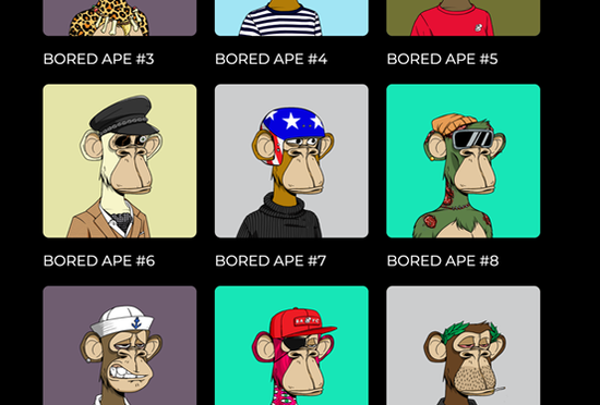 圖片截自BAYC官網