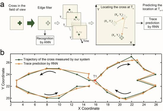 图4，用于动态视觉任务的类脑视觉系统。（a）类脑视觉系统用于运动追踪的流程图。利用视网膜形态传感器，对视野中的 “十”字目标进行边缘特征提取，并将“十”字目标的坐标以时序信息形式输入循环神经网络，对下一时刻该目标的轨迹进行预测。（b）类脑视觉系统经过运动追踪获得的“十”字目标物运动轨迹（绿色线）与经过轨迹预测获得的“十”字目标物运动轨迹（橘黄色线）基本一致。