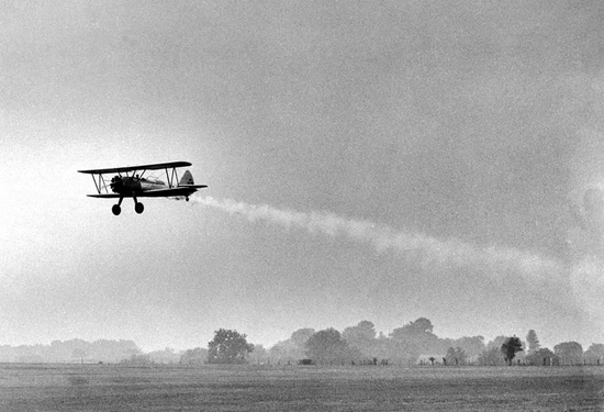 这种农药对人类健康的影响，至少可持续三代|农药|健康|杀虫剂