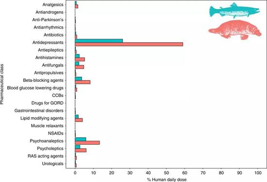 科学家估计褐鳟每天的抗抑郁药摄入剂量几乎是人类剂量的 30%,而鸭嘴兽则接近 50%。图片来源:论文