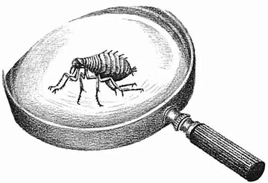 肯定存在，为何看不到？生物英国列文虎克