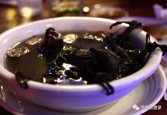 印度尼西亚和帕劳地区的燃脂汤,以果蝠为食材
