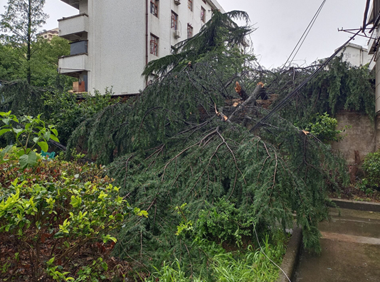 专家解读：南方大范围频发暴雨，异常吗？什么时候结束？|暴雨|强对流|天气