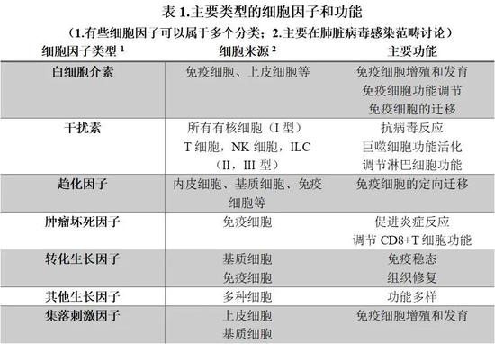 (图表来源:作者提供)