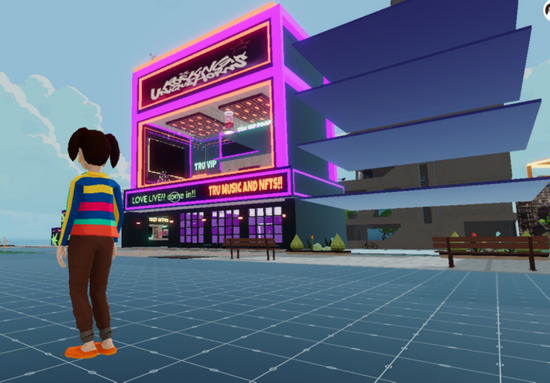 图注：元宇宙酒吧房产