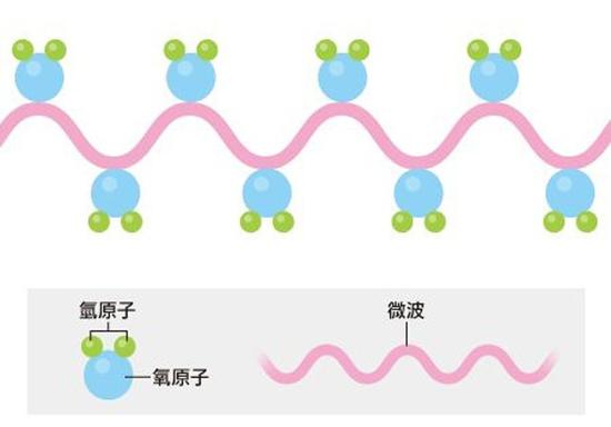 微波遇到含有水分的介质可以被吸收