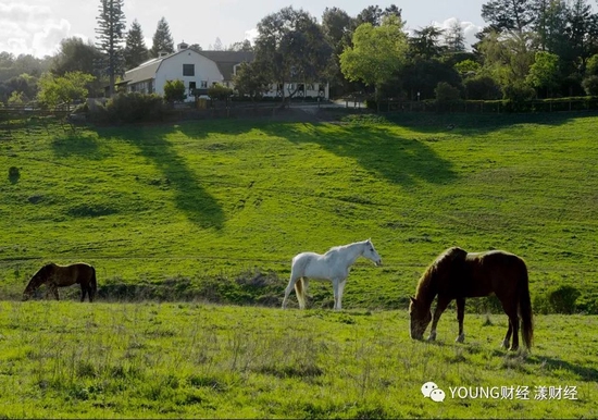 ■Los Altos Hills