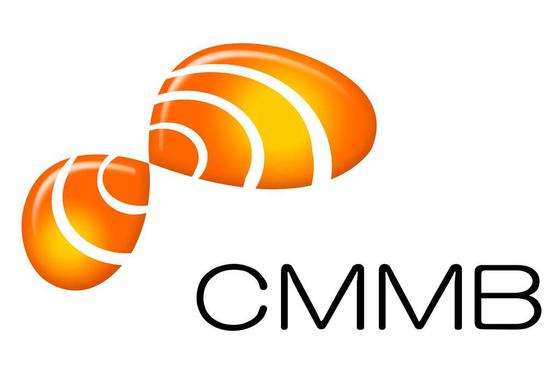 中广传播的品牌 logo(图片来自于百度图片)