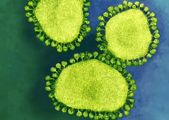 柳叶刀:主要城市疫情潜在传播将滞后武汉1-2周爆发