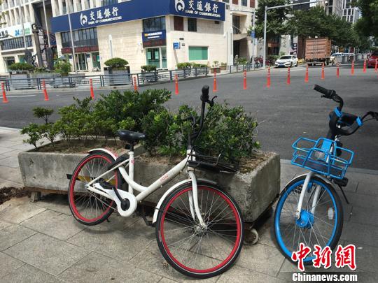 图为宁波街头无序停放的互联网租赁自行车。 林波 摄