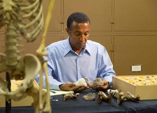 约翰尼斯在办公室研究人类化石 （图片来源：Cleveland Museum of Natural History）
