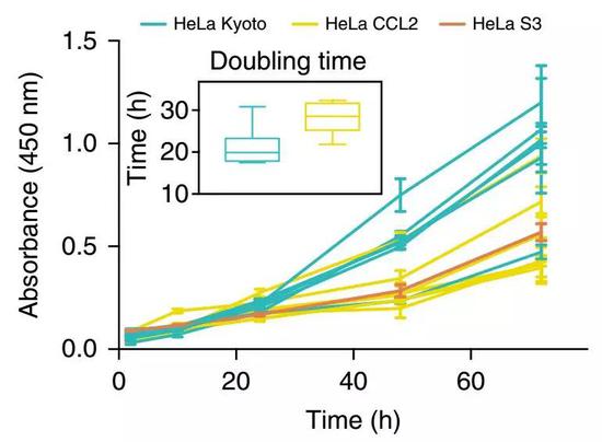 不同来源的海拉细胞，复制速率差异巨大