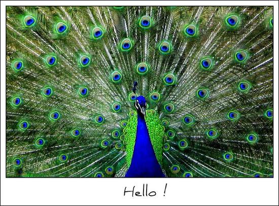 (图源:flicker)