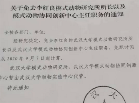图片来源:梨视频