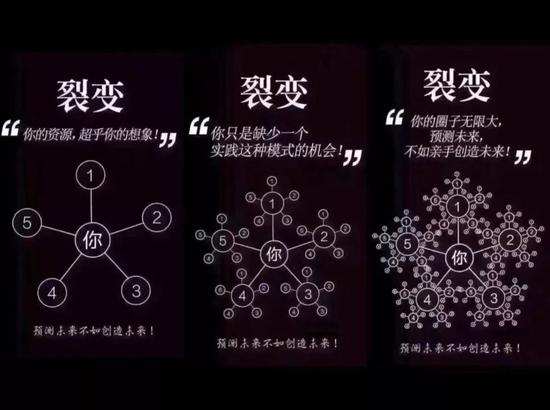 培训素材:“网状群峰机构”