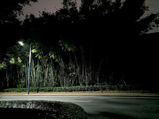诺基亚9 PureView