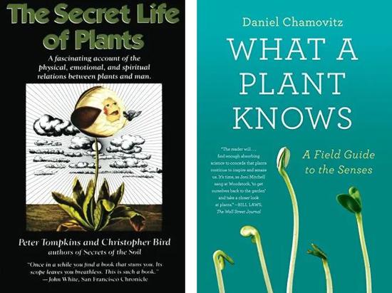 The Secret Life of Plants(左)& What a Plant Knows(右)英文版封面。| 图片来源:Amazon