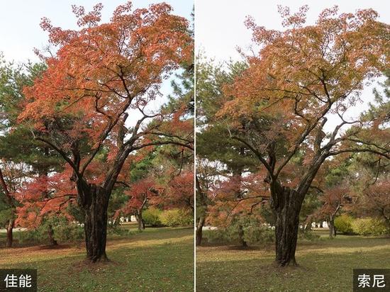 入门便携机之争 佳能G9 XII对决索尼RX100M3