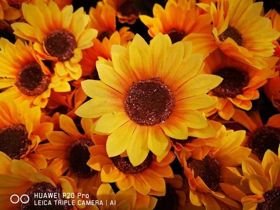 华为P20&nbsp;Pro实拍样张