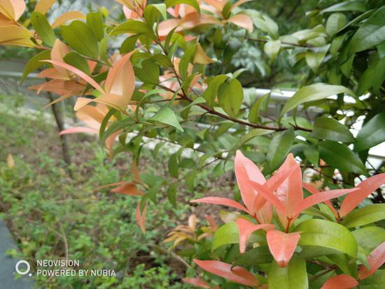 努比亚红魔游戏手机评测:炫酷美型亦可称霸