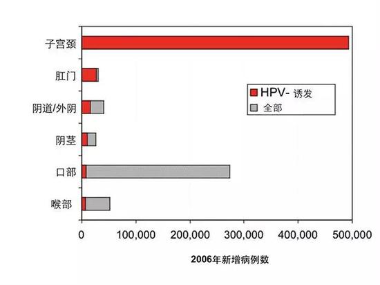 HPV感染在人体各部位诱发癌症比例 （图片来源：wikipedia 有改动）