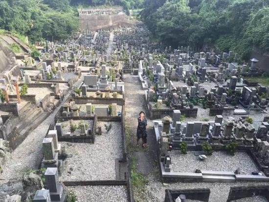 日本的墓园（摄影：梁清散）