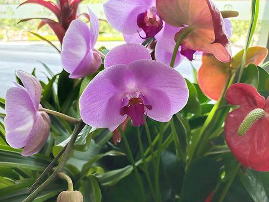 �������ţ�ɫ�ʻ�ԭ׼ȷ