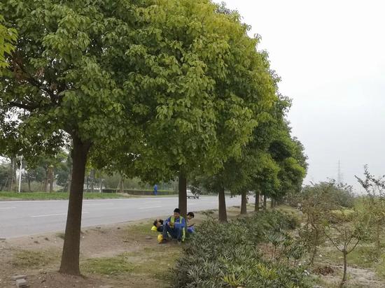 有道娱乐平台·海印股份回复关注函: