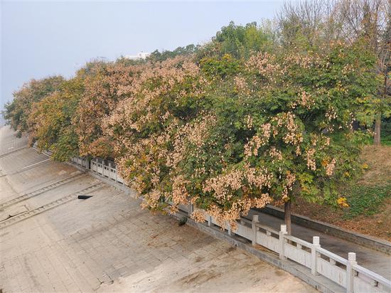 宝岛备用网址-春节海关监管海南离岛免税销售再创新高 增长33.56%