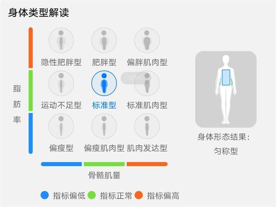 身体类型解读