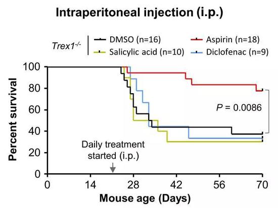阿司匹林可以治疗小鼠的自身免疫疾病