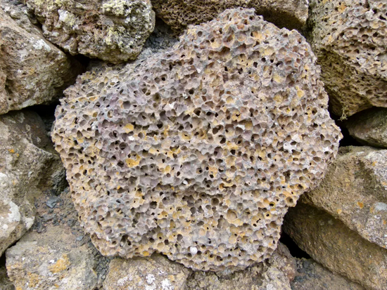 图源:Wikimedia Commons