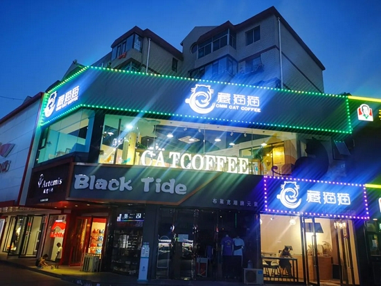 位于大连开发区的藏猫猫分店