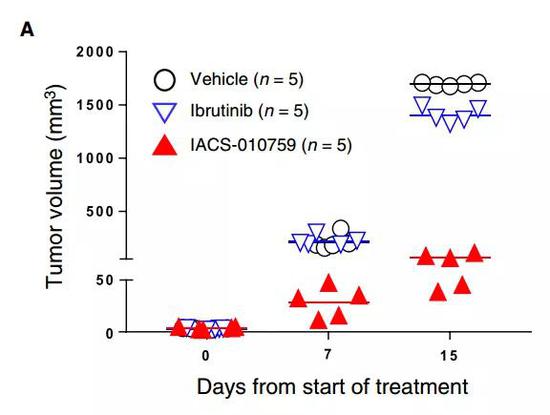 ▲IACS-010759在小鼠疾病模型中也取得了积极的癌症控制效果（图片来源：参考资料[1]）