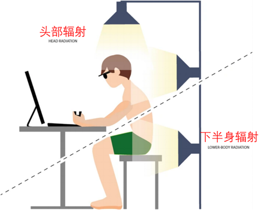 模拟太阳光辐射示意图。头部辐射不仅包括上方还包括头颈部的一盏灯。