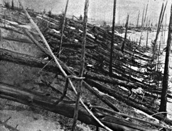 通古斯大爆炸后倒下的树木,摄于 1929 年 | Kulik Expedition
