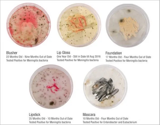 培养皿中，从放置过久而细菌孳生的化妆品里培养出的菌落（腮红，唇彩，粉底，口红与睫毛膏） | https：//www.cosmeticsbusiness.com
