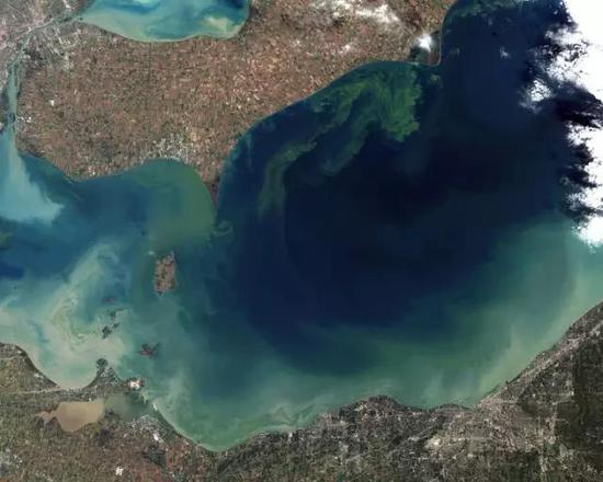 2011年10月，湖经历了几十年来最严重的水华。大暴雨将肥料冲进湖中，促进了微胱氨酸的生长，产生蓝藻菌。（图源：Wikipedia）